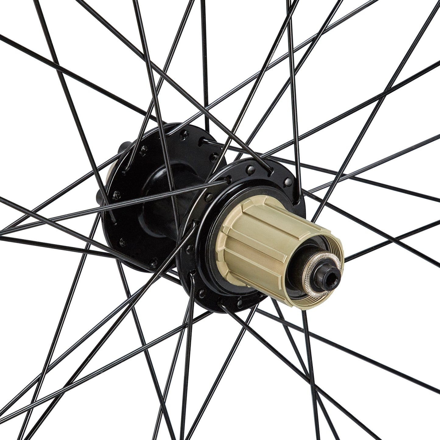 
                  
                    XC Mountain Bike Dual Disc Wheelset - Corki Cycles
                  
                